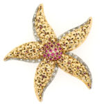 Gold Star Fish